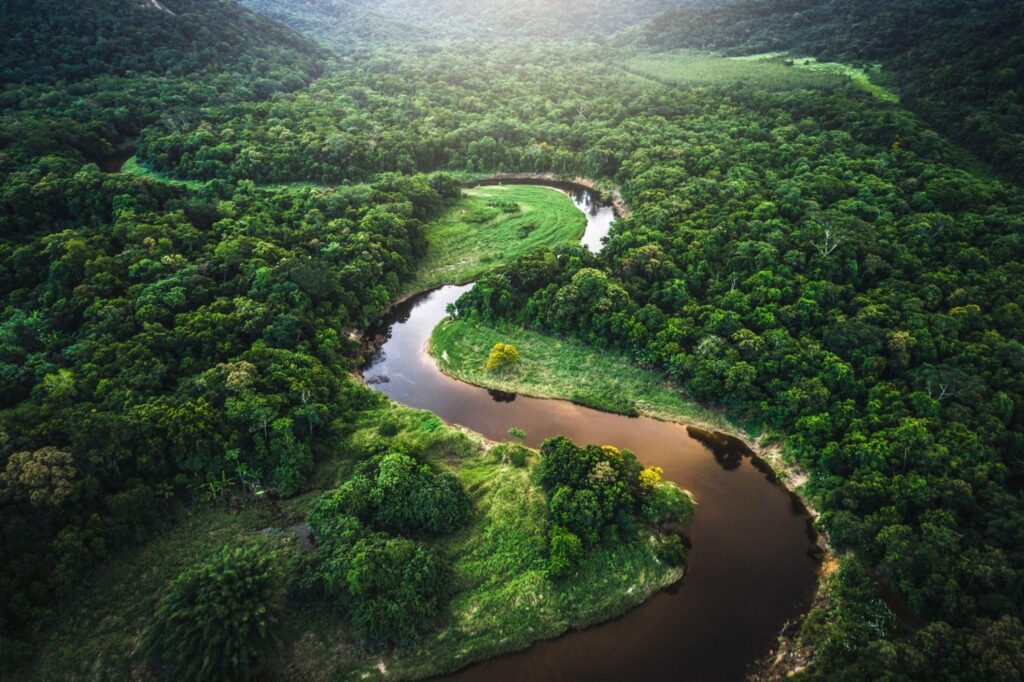 Подробнее о статье Сказочные маршруты: исследование лесов Амазонии и их удивительной флоры и фауны