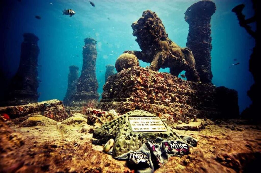Подробнее о статье Подводное чудо: потайные сокровища Галапагосских островов